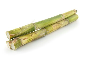 Single sugar cane isolated on white background