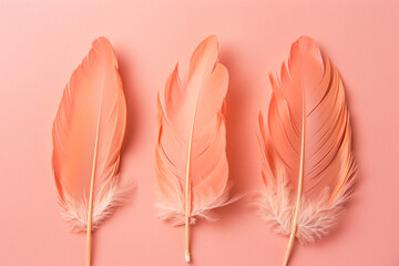 Coral pink pastel feather background