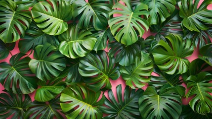Tropical green palm leaves pattern on bright pink background. Nature, summer, and botanical designs