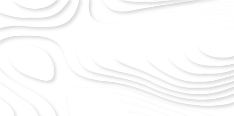 Fototapeta premium Abstract wavy line paper cut white background. Topographic geometric map relief texture with curved layers and shadow. Abstract realistic papercut background. Vector illustration.