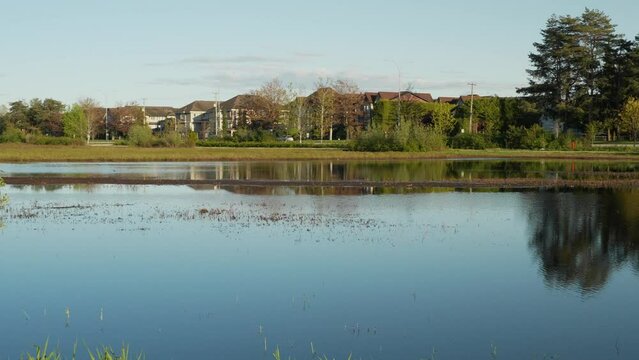 Serene lakeside view with reflections of trees and buildings