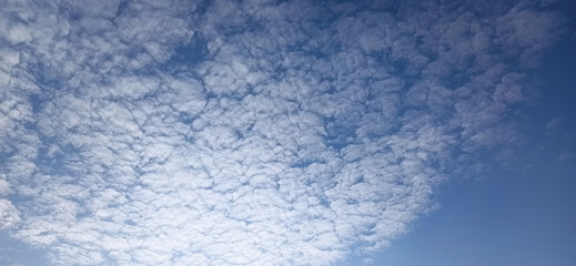 Obraz premium Altocumulus clouds are small mid-level layers or patches of clouds, called cloudlets, which most commonly exist in the shape of rounded clumps.