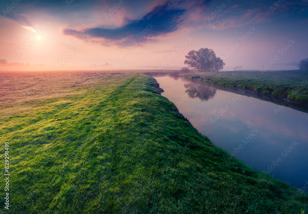 Wall mural grassland on the shore of strypa river. fantastic summer sunrise in ukrainian countryside. foggy mor