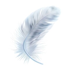 Elegant White Feather Basking in Natural Light with PNG Cutout Isolation