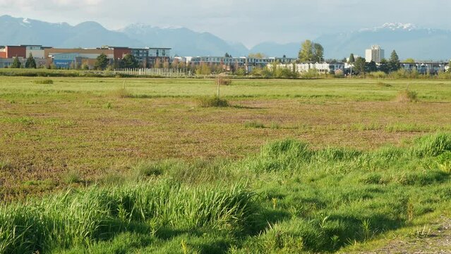 24.04.21 Garden City Park output, suburban landscape with Walmart in BC, Canada