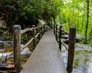 Hikers Bridge at The Bottom of Upper Laurel Falls on Cove Mountain, Great Smoky Mountains National Park, Tennessee, USA