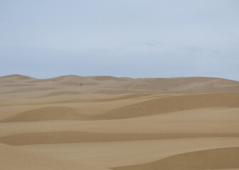 Sand Dunes in Oregon