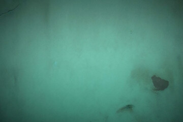 Fototapeta premium Abstract art painting black aqua teal white. Posters, covers, prints. Abstract wall art. Digital interior art. abstract texture. For design, print, wallpaper, poster, card, mural, rug, banner design