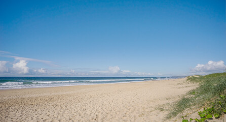 A sunny day at the beach with sandy foreshore, crashing surf waves and blue sky at Kawana on the Sunshine Coast in Queensland Australia