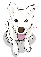 사랑스러운 강아지