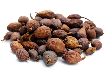 Black Cardamom or Greater Cardamom