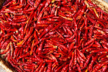Fototapeta premium 大量のトウガラシ