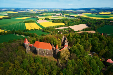 Grodziec Castle surrounded by blooming agricultural fields and green forest, aerial view. Old...