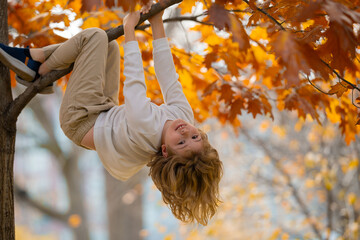 Funny kid climbing a autumn tree in the autumn park. Active child climbing tree in autumn park outdoors. Portrait of cute kid boy climbing upside down on the branch tree with yellow autumn leaves.