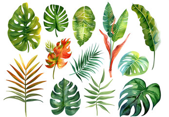 Fototapeta premium Watercolor tropical leaves. Botanical jungle illustration. Beautiful tropical exotic foliage.