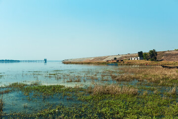 low lying grassland submerged in shallow water of Damodar river embankment. Photo taken near Panchet Dam, in Purulia. In distance, piers of DVC (India's 1st multipurpose river valley project) are seen