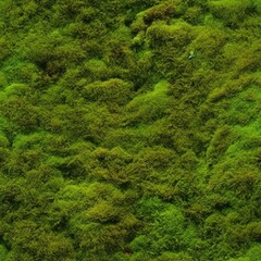 Green moss seamless pattern on white background, top view, isolated, scattered for design