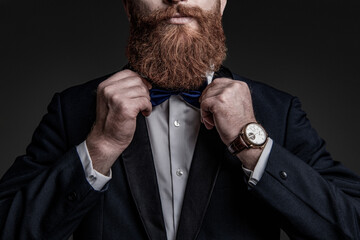 Elegant gentleman, cropped view. Male accessory. Gentleman in tuxedo bowtie has luxury watch....