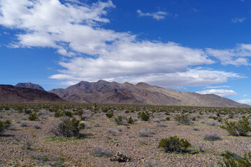 Desert landscape shown on a sunny day with blue sky and clouds in the Mojave Desert, California, 2024.
