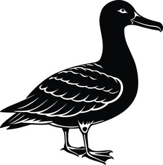 illustration of a duck