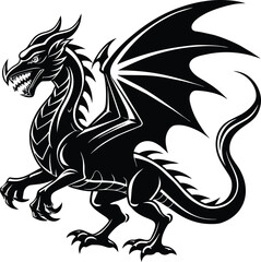 black and white dragon