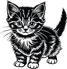 black and white cat vector