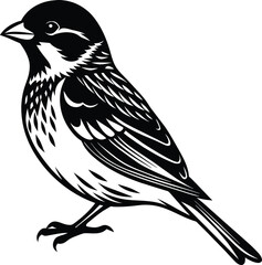 Fototapeta premium bird vector silhouette 