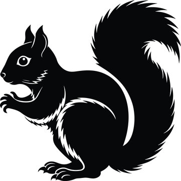 squirrel vector silhouette