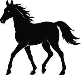 horse silhouette isolated on white background