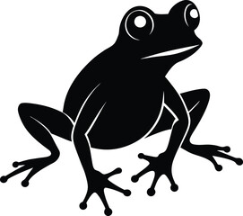 frog on white background
