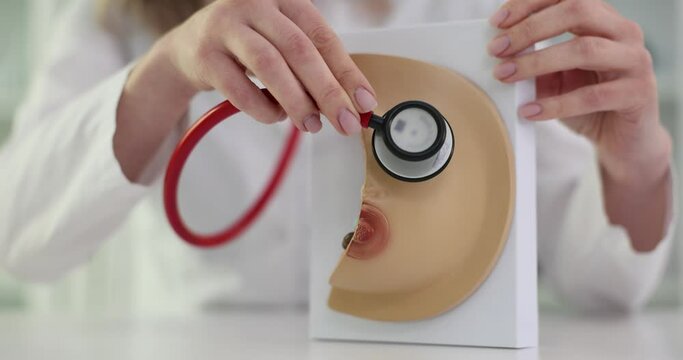 3D model of mammary glands with a stethoscope in the hands of a mammologist