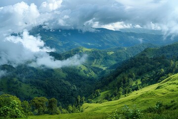 Naklejka premium landscape in summer