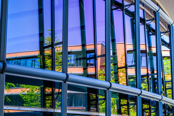 typical windows of an office building