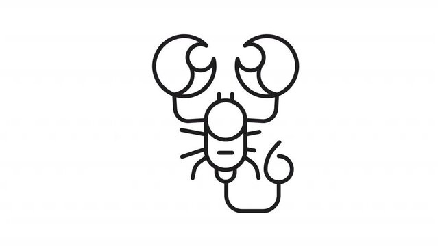 Animated scorpio icon. Scorpion moving his pincers line animation. Astrological sign. Arachnid animal. Black illustration on white background. HD video with alpha channel. Motion graphic