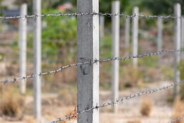 Barbed wire in nature as a background