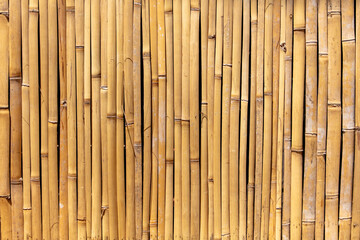 Dry bamboo fence as an abstract background. Texture
