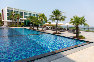 Palm tree by the pool in the tropics