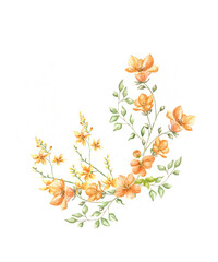 Watercolor illustration of yellow wildflowers.