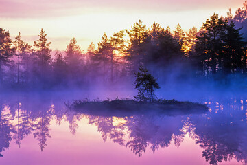 Sunrise by a lake on a bog in the wilderness