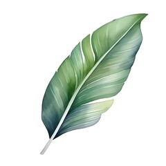 Serene Tropical Bird of Paradise Leaf Watercolor
