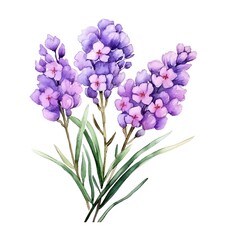 Fototapeta premium Vibrant Lavender Statice Flower Bouquet