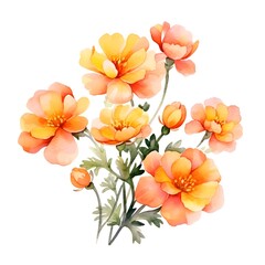 Vibrant Portulaca Floral Bloom in Watercolor