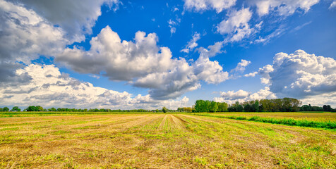 Big cloud formations passing over a rural landscape in The Netherlands.