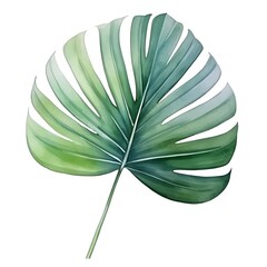 Vibrant Tropical Leaf for Natural Backgrounds and Designs