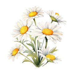 Fototapeta premium Vibrant Watercolor Daisies Blooming in Pastoral Garden Setting