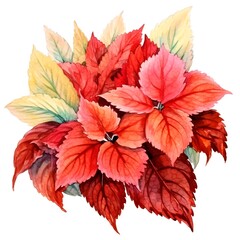 Vibrant Watercolor of Lush Coleus Foliage
