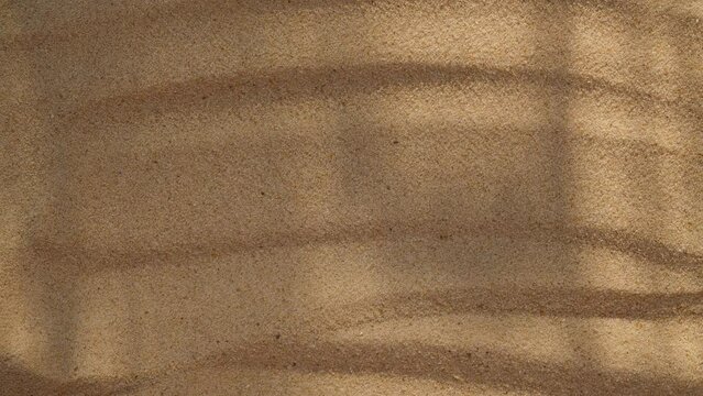 Abstract backdround of tree leaves and grass silhouette shadows motion over sand