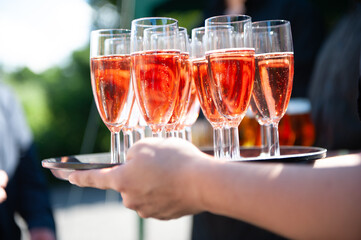 Pink Champagne