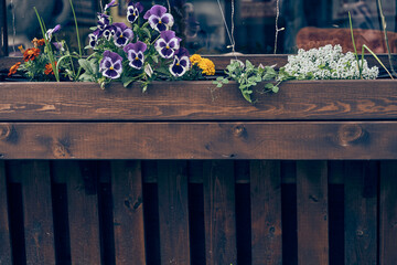 Marigolds, pansies and alyssum grow in a wooden box. Summer flowers grow in an open space near an...