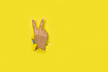 Hand making a sign of victory, peace, coming out of the hole in a torn yellow paper background.